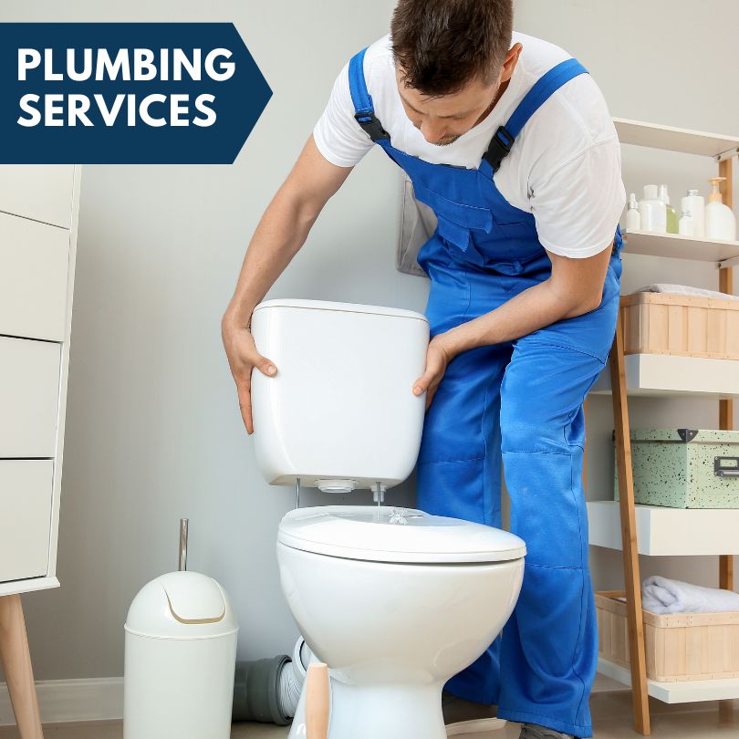 Plumbing Company in Gagetown, MI